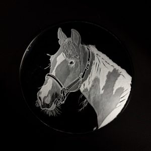 Mirror – Horse