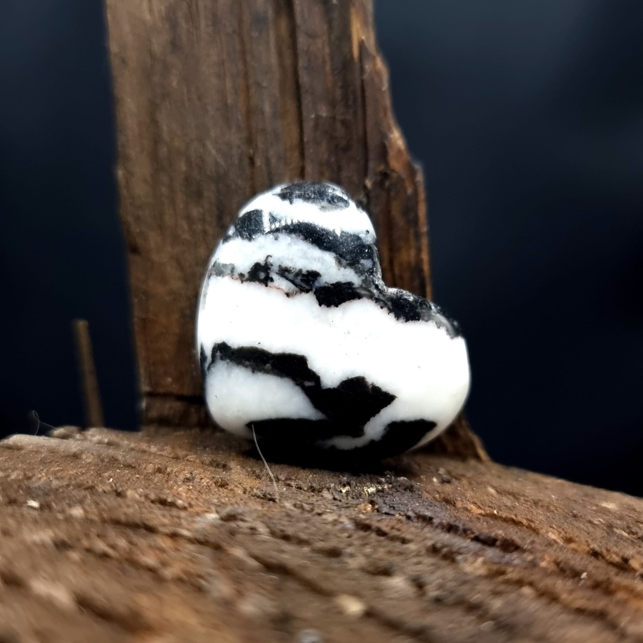 Zebra Jaspis Hart Wit